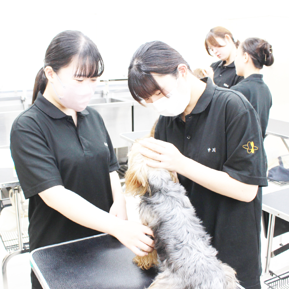 動物看護実習☆